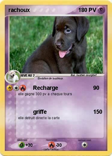 Pokemon rachoux