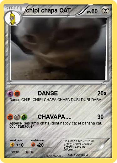 Pokemon chipi chapa CAT