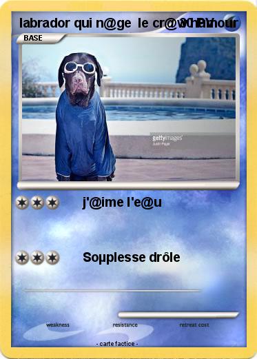 Pokemon labrador qui n@ge  le cr@w humour