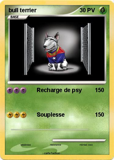 Pokemon bull terrier