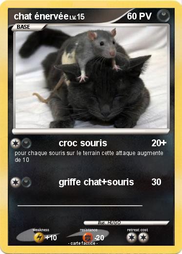 Pokemon chat énervée