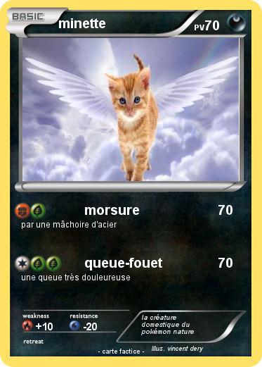 Pokemon minette