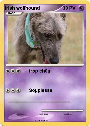 Pokemon irish wolfhound