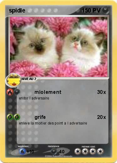 Pokemon spidie