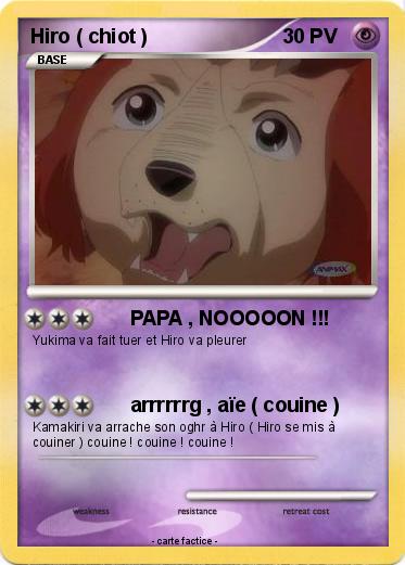Pokemon Hiro ( chiot )