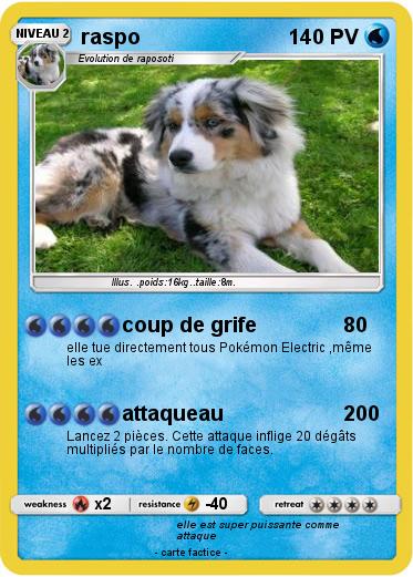 Pokemon raspo