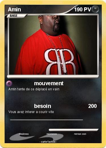 Pokemon Amin