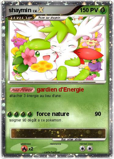 Pokemon shaymin
