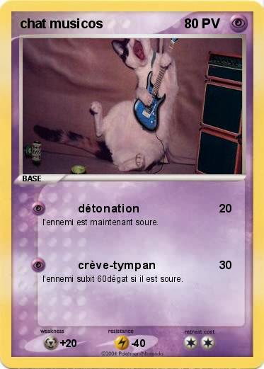 Pokemon chat musicos