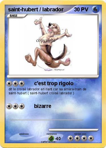 Pokemon saint-hubert / labrador