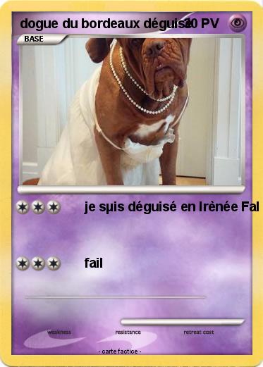 Pokemon dogue du bordeaux déguisé