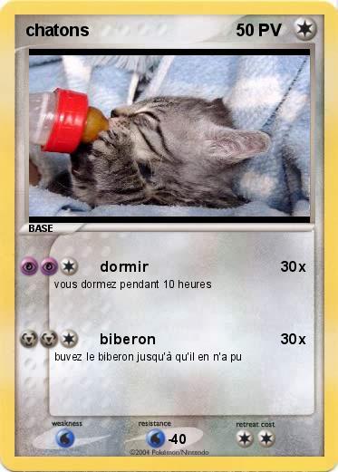 Pokemon chatons 