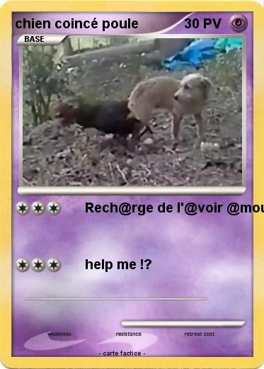 Pokemon chien coincé poule