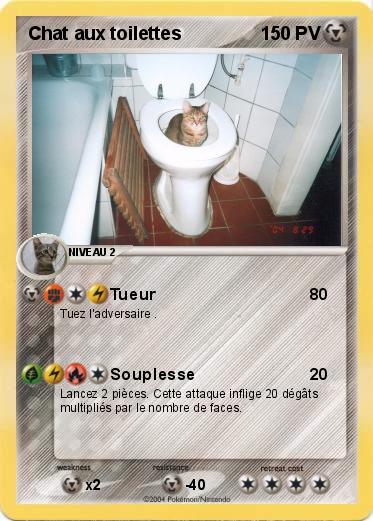 Pokemon Chat aux toilettes