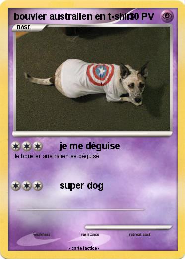 Pokemon bouvier australien en t-shirt