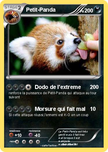Pokemon Petit-Panda