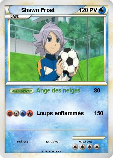 Pokemon Shawn Frost
