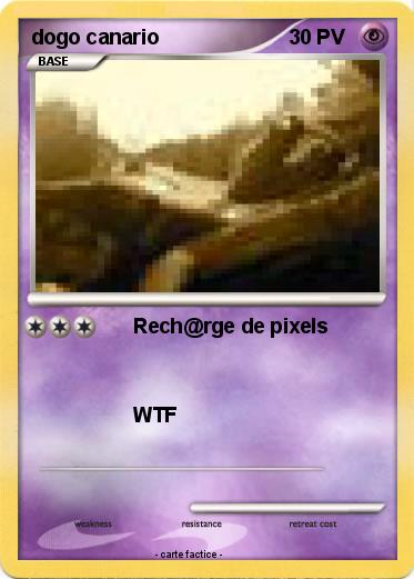 Pokemon dogo canario