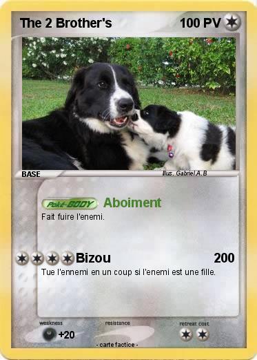 Pokemon The 2 Brother's
