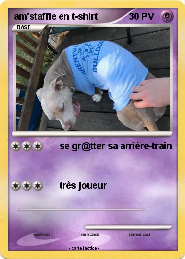 Pokemon am'staffie en t-shirt