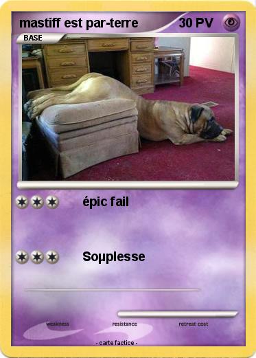 Pokemon mastiff est par-terre