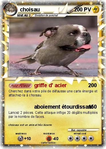 Pokemon choisau