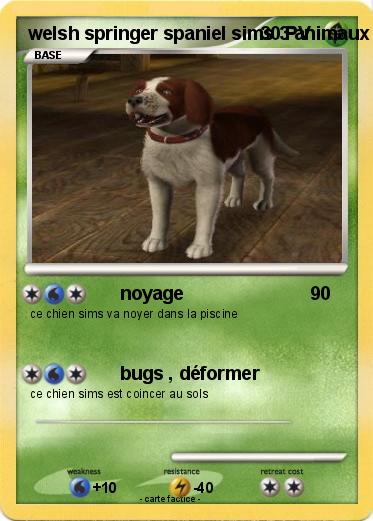 Pokemon welsh springer spaniel sims 3 animaux & cie