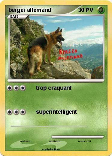 Pokemon berger allemand