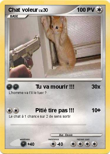 Pokemon Chat voleur