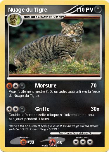 Pokemon Nuage du Tigre