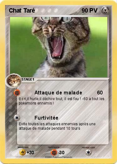Pokemon Chat Taré