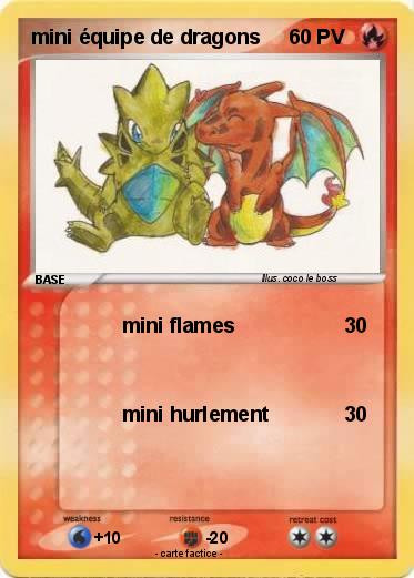 Pokemon mini équipe de dragons