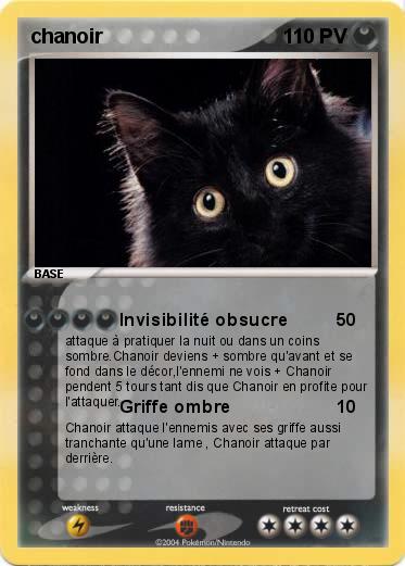 Pokemon chanoir