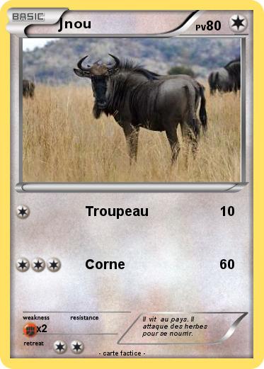 Pokemon Jnou