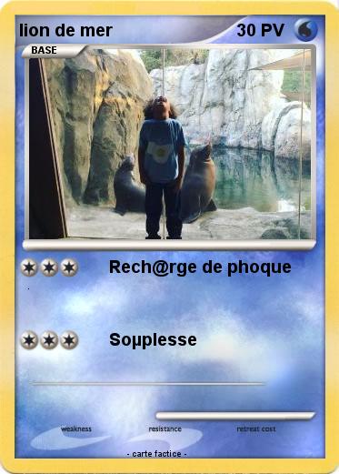 Pokemon lion de mer