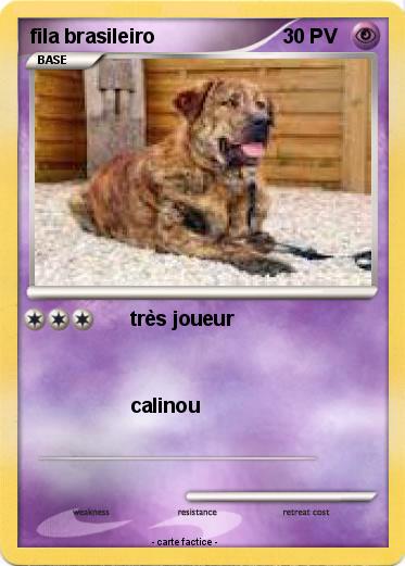 Pokemon fila brasileiro