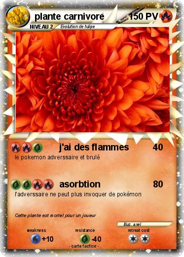 Pokemon plante carnivore