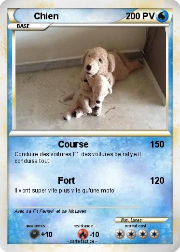 Pokemon Chien