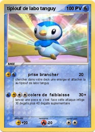 Pokemon tiplouf de labo tanguy
