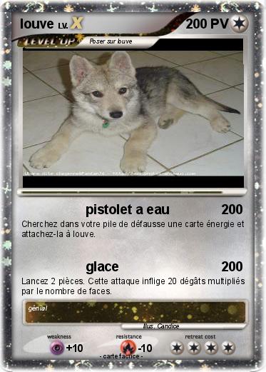 Pokemon louve