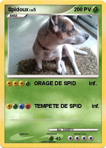 Pokemon Spidoux