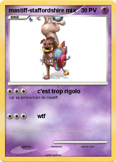 Pokemon mastiff-staffordshire mix