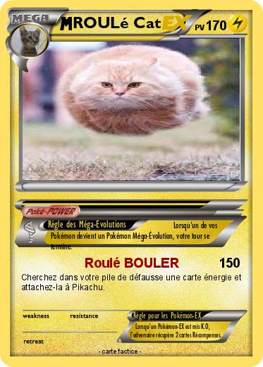 Pokemon ROULé Cat