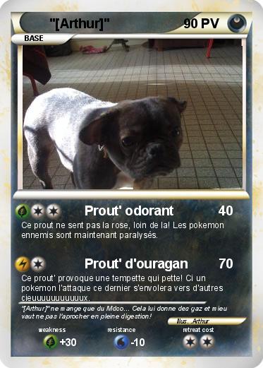 Pokemon "[Arthur]"
