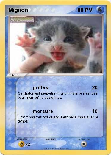 Pokemon Mignon