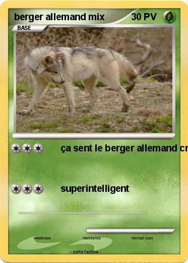 Pokemon berger allemand mix