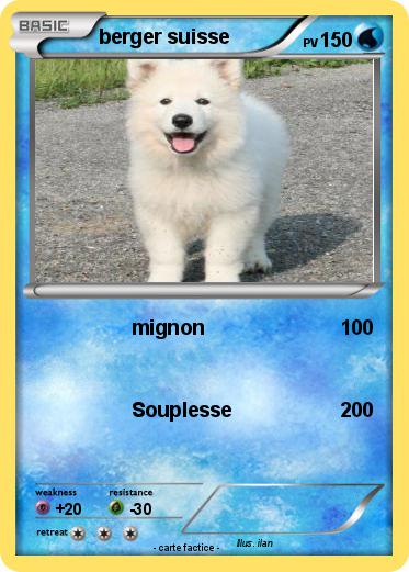 Pokemon berger suisse