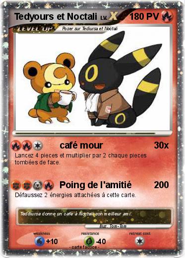 Pokemon Tedyours et Noctali