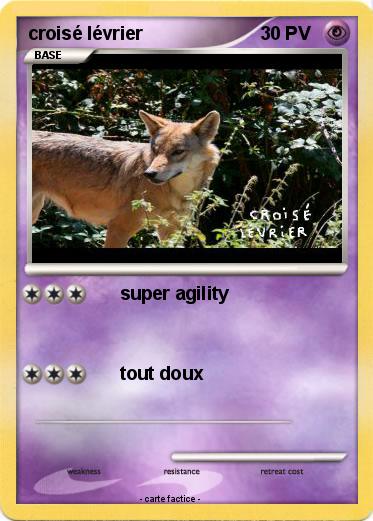 Pokemon croisé lévrier