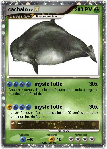 Pokemon cachalo